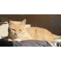 Photo of 11053   Tim