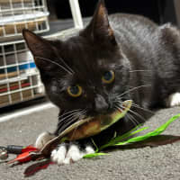 Photo of Novah