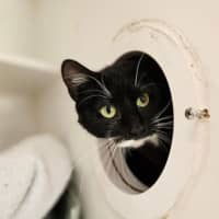 Photo of Athena