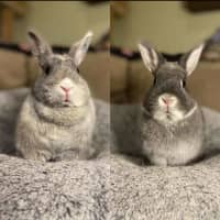 Photo of Lena & Dragonfruit