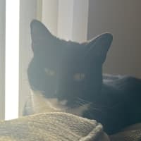 Photo of Chloe