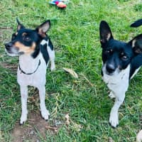 Photo of Jack And Jill 