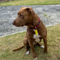 Photo of Ralph