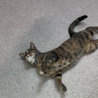 Photo of Louise (9123)
