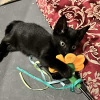 Photo of Nyra