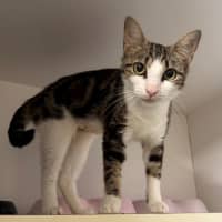 Photo of Sara Bellum