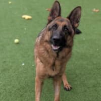 Photo of Zeus