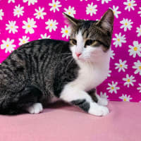 Photo of Jemma   Located In Brunswick East