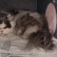 Photo of Valentina