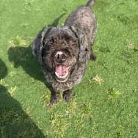 Photo of Bently