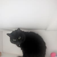 Photo of Babs (Missy)