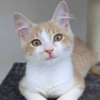 Photo of Jerry