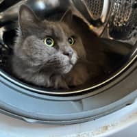 Photo of 💙 Harry 💙