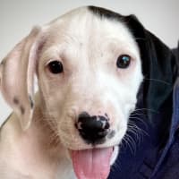 Photo of Storm