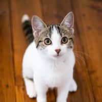 Photo of Lulu