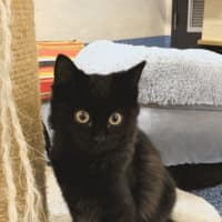 Photo of Mai