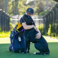 Photo of Caspian Imp 2883