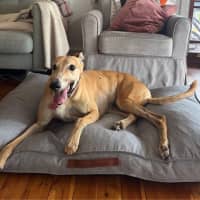 Photo of Sandy