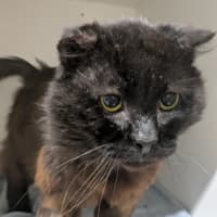 Photo of 🎣 Greg 6702 🎣