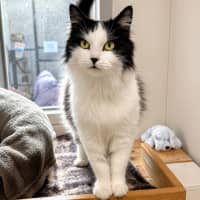 Photo of Nikita