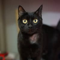 Photo of Mavis