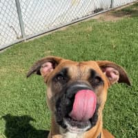 Photo of Gertie