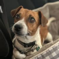 Photo of Lumi