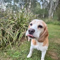 Photo of Post Malone