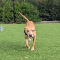 Photo of Lulu