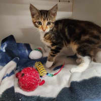 Photo of Pippa And Sage