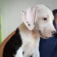 Photo of Storm