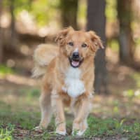 Photo of Buttons
