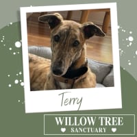 Photo of Terry
