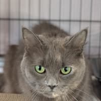 Photo of Agnes