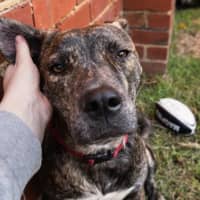 Photo of Benny Lozano