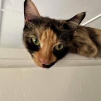 Photo of Holly