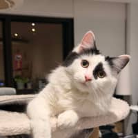 Photo of Spottie