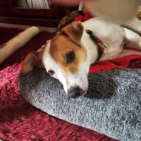 Photo of Jacky Chan Peggotty