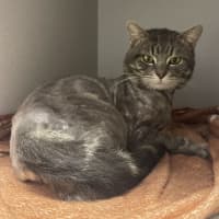 Photo of Kerby
