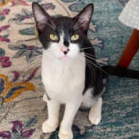 Photo of Betty
