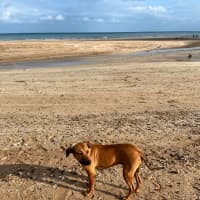 Photo of Princess