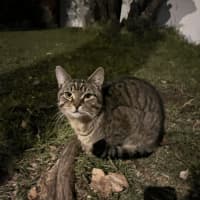 Photo of Test2