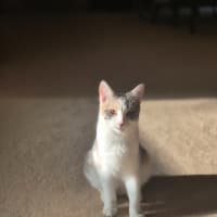 Photo of Cassidy / Cooper