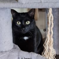 Photo of Lizzie