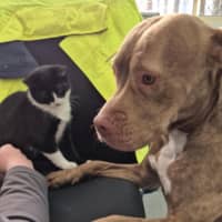 Photo of Meggie 💜