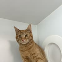 Photo of Bo 