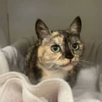 Photo of Mimi