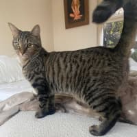 Photo of Mr Maple