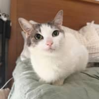 Photo of Willow