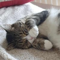 Photo of Miguel / Sarah